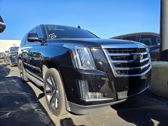 2020 Cadillac Escalade Luxury RWD photo