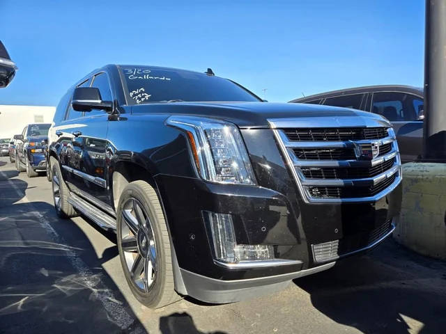 2020 Cadillac Escalade Luxury RWD photo
