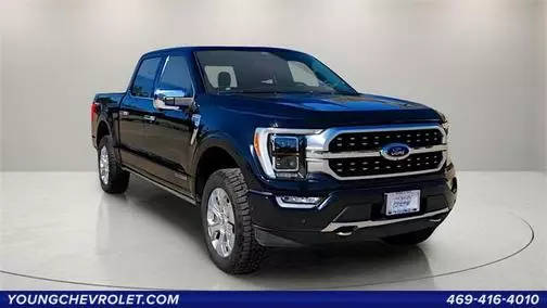 2021 Ford F-150 Platinum 4WD photo