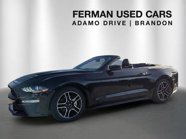 2018 Ford Mustang EcoBoost Premium RWD photo