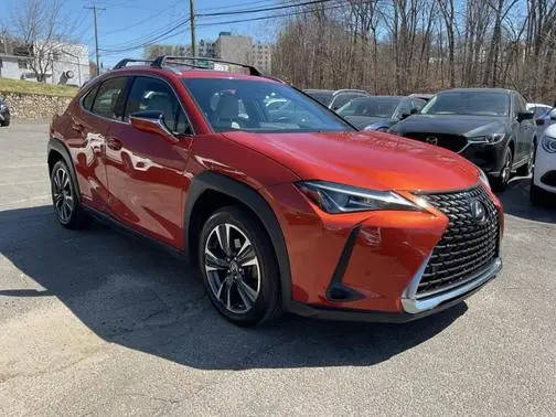 2020 Lexus UX UX 250h AWD photo