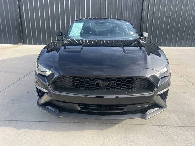 2021 Ford Mustang EcoBoost RWD photo