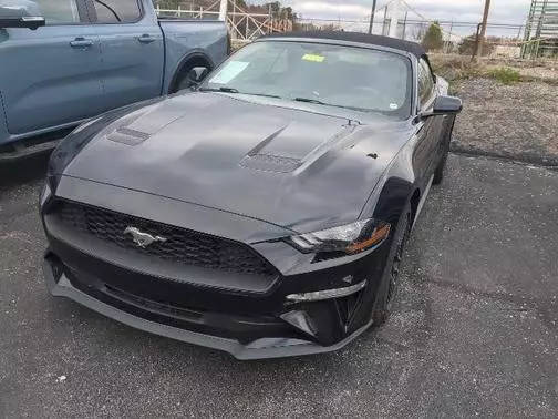 2018 Ford Mustang EcoBoost Premium RWD photo