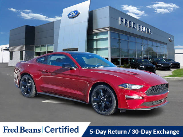 2021 Ford Mustang EcoBoost Premium RWD photo