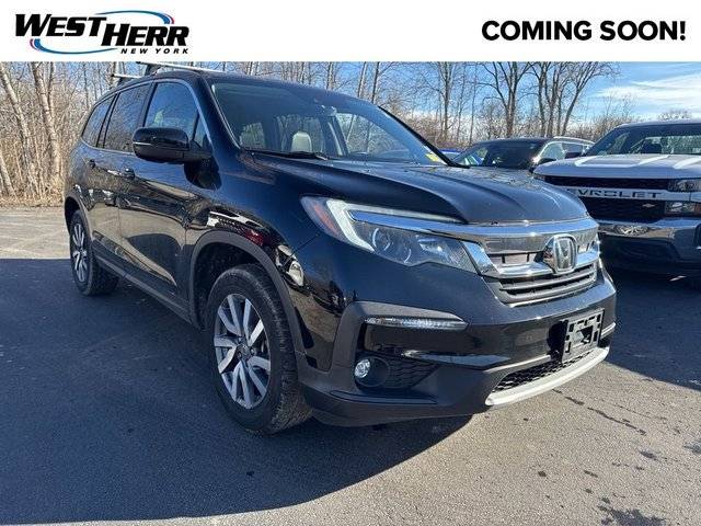 2021 Honda Pilot EX-L AWD photo