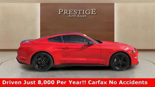 2021 Ford Mustang EcoBoost RWD photo