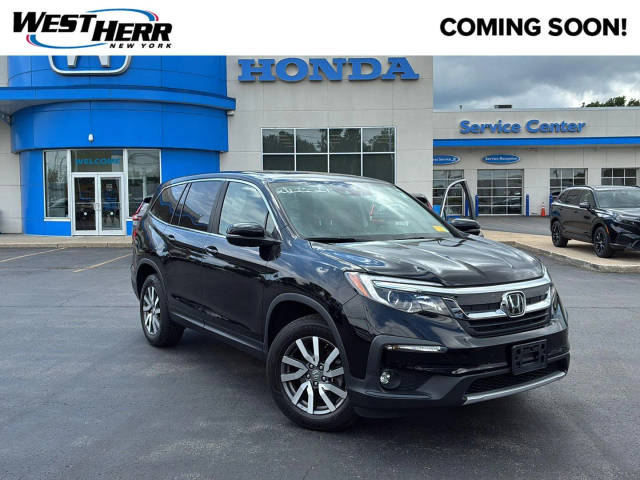 2021 Honda Pilot EX-L AWD photo