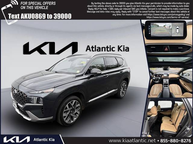 2021 Hyundai Santa Fe Calligraphy AWD photo