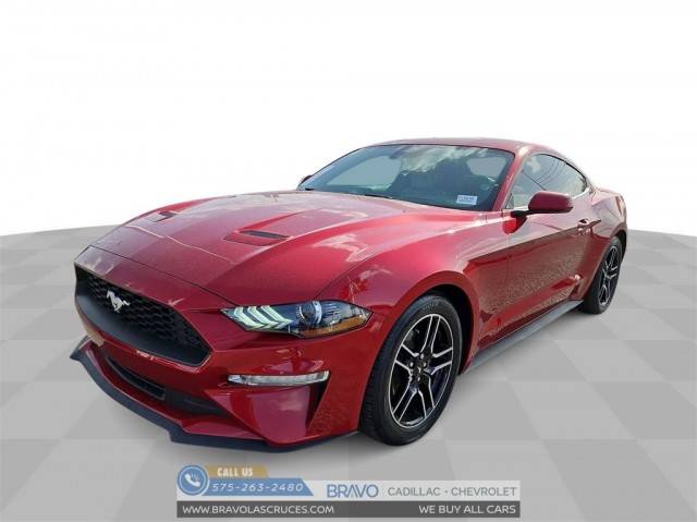 2021 Ford Mustang EcoBoost Premium RWD photo