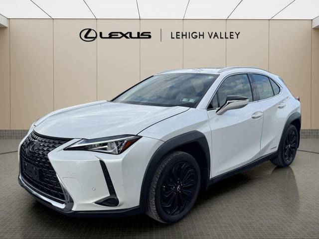 2021 Lexus UX UX 250h AWD photo