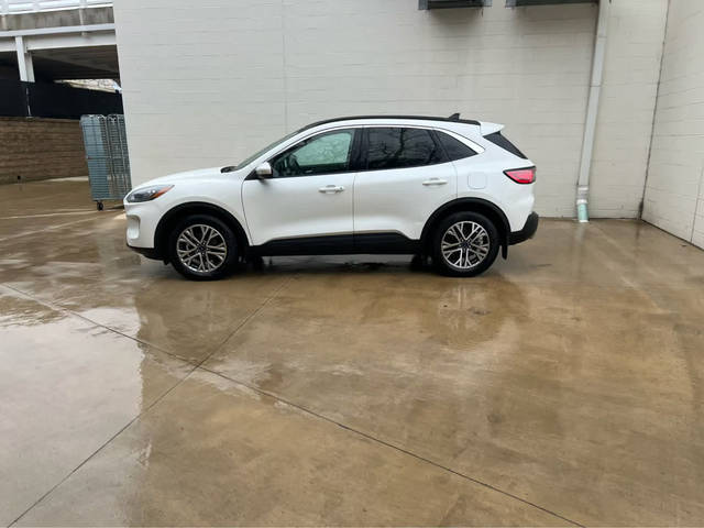 2021 Ford Escape SEL Hybrid AWD photo