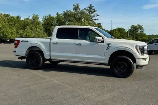 2021 Ford F-150 Platinum 4WD photo