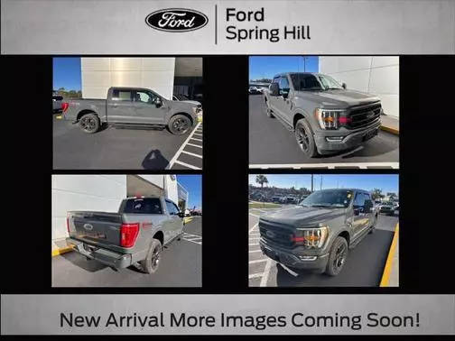 2021 Ford F-150 XLT 4WD photo