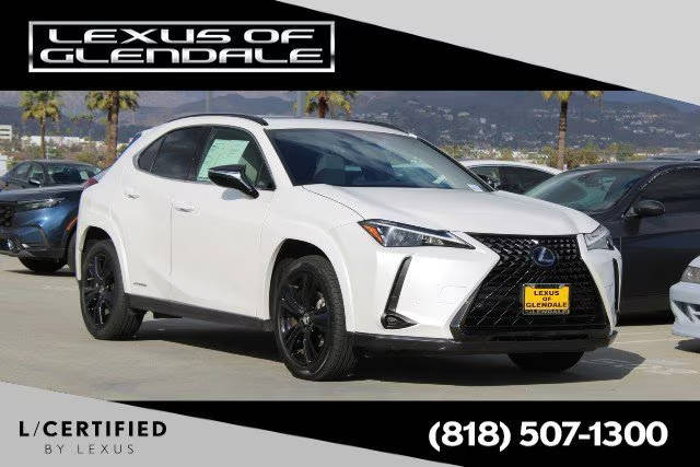 2021 Lexus UX UX 250h AWD photo