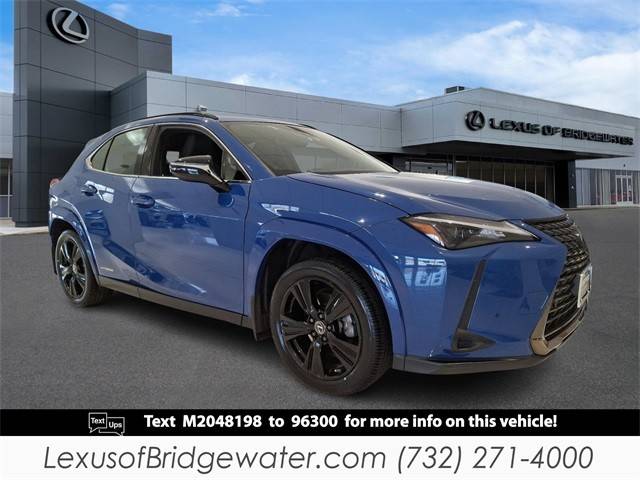 2021 Lexus UX UX 250h AWD photo