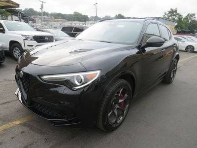 2021 Alfa Romeo Stelvio Quadrifoglio AWD photo