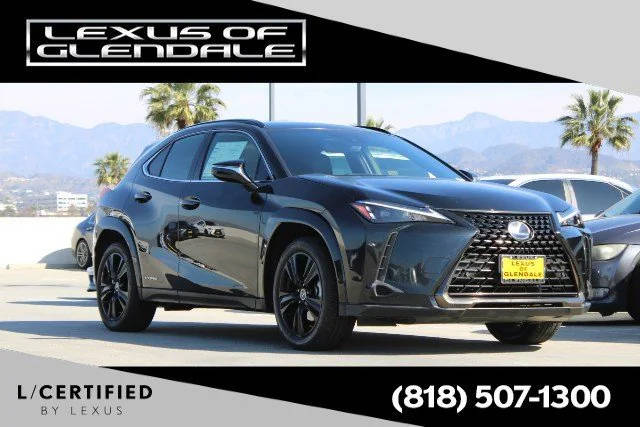 2021 Lexus UX UX 250h AWD photo