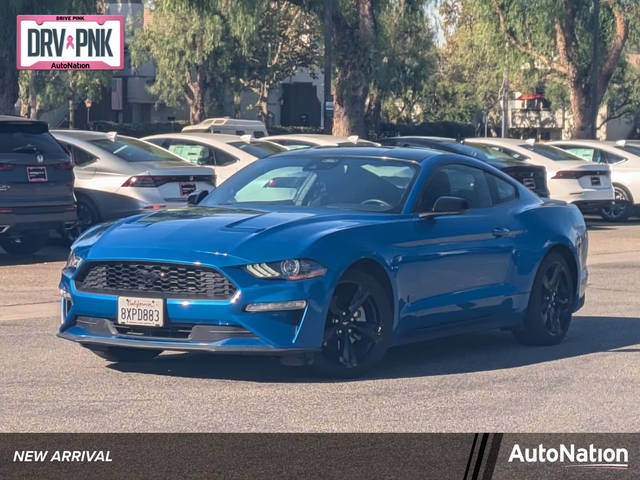 2021 Ford Mustang EcoBoost RWD photo