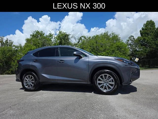 2021 Lexus NX NX 300 AWD photo