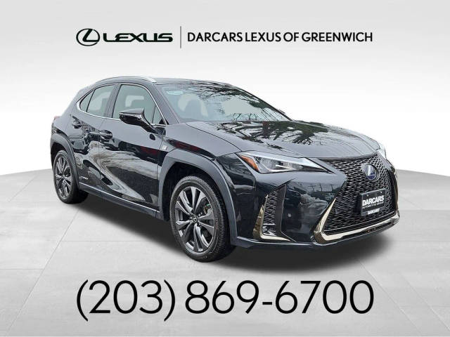 2021 Lexus UX UX 250h F SPORT AWD photo