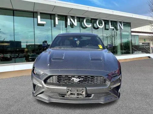 2021 Ford Mustang EcoBoost RWD photo