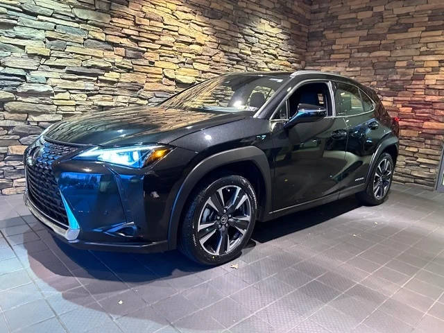 2021 Lexus UX UX 250h AWD photo