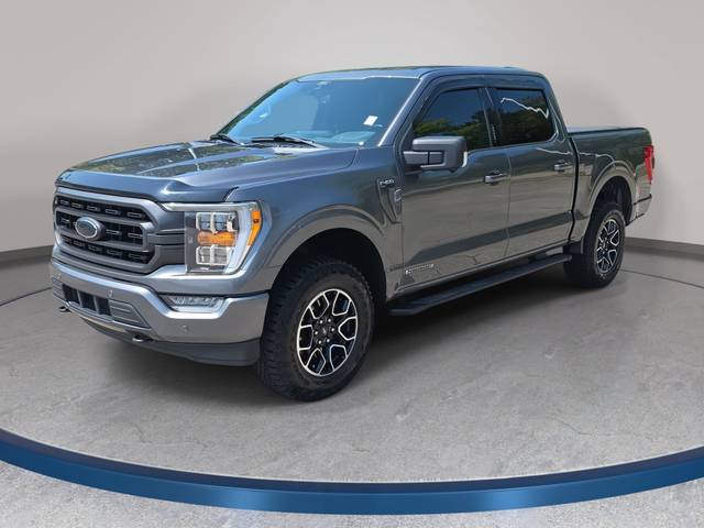 2021 Ford F-150 XLT 4WD photo
