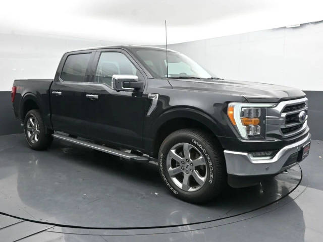 2021 Ford F-150 XLT 4WD photo