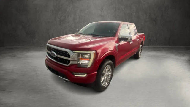 2021 Ford F-150 Platinum 4WD photo
