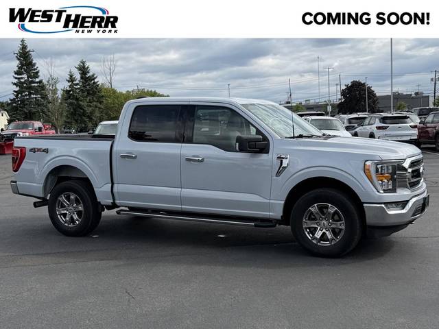 2021 Ford F-150 XLT 4WD photo