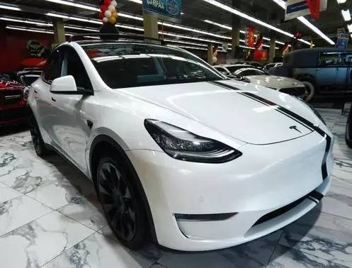 2020 Tesla Model Y Long Range AWD photo