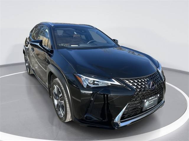 2021 Lexus UX UX 250h AWD photo