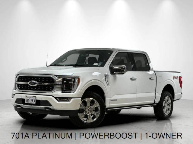 2021 Ford F-150 Platinum 4WD photo