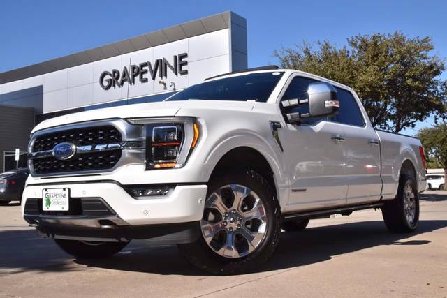 2021 Ford F-150 Platinum 4WD photo