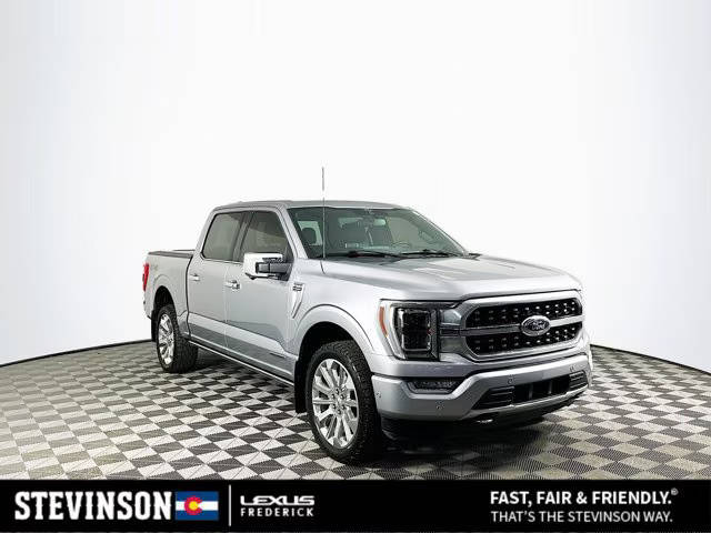 2021 Ford F-150 Platinum 4WD photo