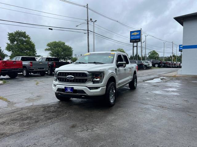 2021 Ford F-150 Platinum 4WD photo