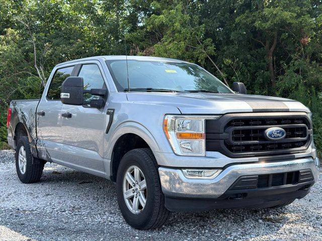 2021 Ford F-150 XL 4WD photo