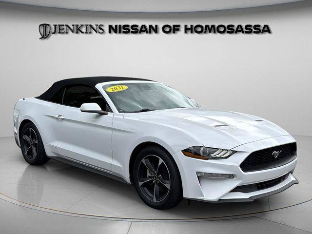 2021 Ford Mustang EcoBoost RWD photo