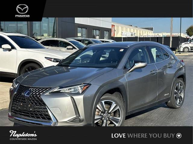 2021 Lexus UX UX 250h AWD photo