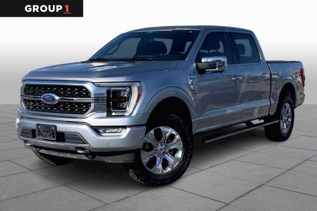 2021 Ford F-150 Platinum 4WD photo