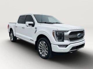 2021 Ford F-150 Limited 4WD photo