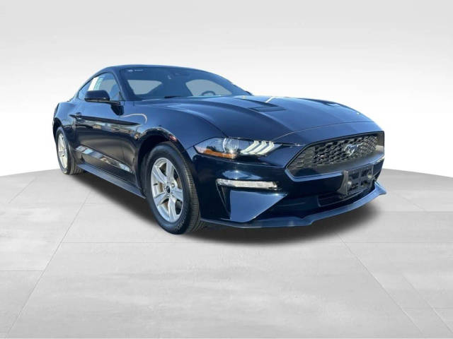 2021 Ford Mustang EcoBoost RWD photo
