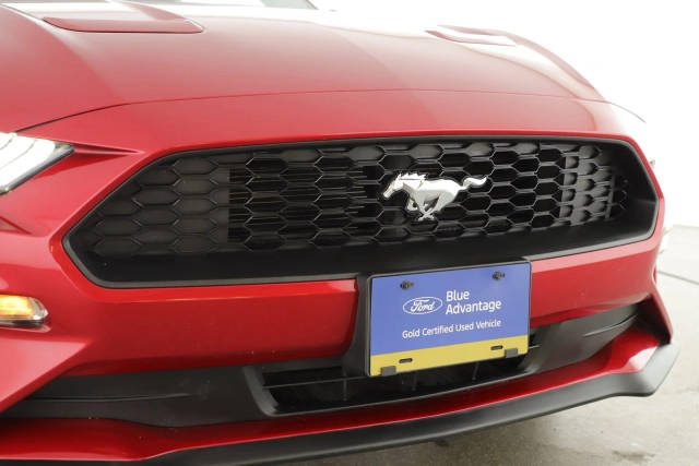 2021 Ford Mustang EcoBoost RWD photo