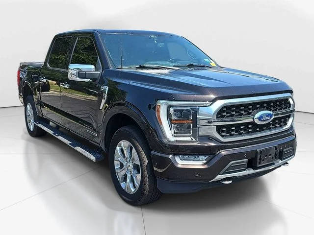 2021 Ford F-150 Platinum 4WD photo