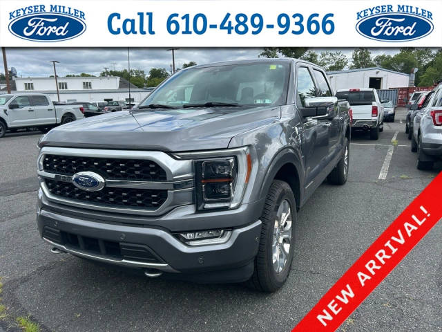 2021 Ford F-150 Platinum 4WD photo