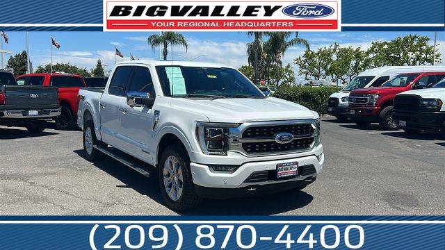 2021 Ford F-150 Platinum 4WD photo