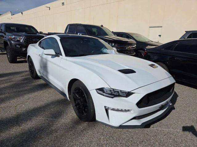 2021 Ford Mustang EcoBoost RWD photo