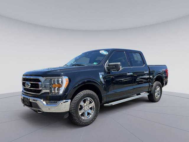 2021 Ford F-150 XLT 4WD photo