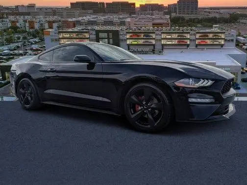 2021 Ford Mustang EcoBoost RWD photo