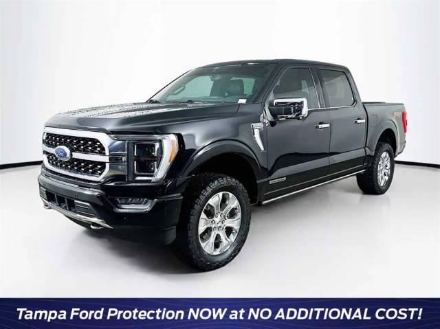 2021 Ford F-150 Platinum 4WD photo